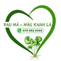 nhạc nền - Rau má - thảo mộc Hoa Sen
