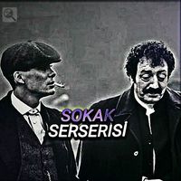 orijinal ses