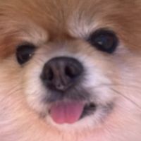 오리지널 사운드 - 진희