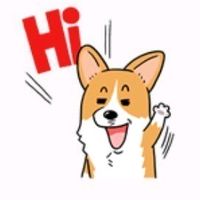 오리지널 사운드 - 두치 🦔