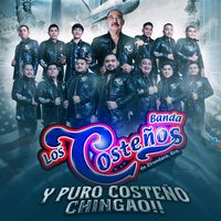 bandaloscostenos