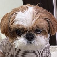 cherie_1013_