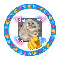 momonga1176