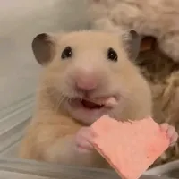 original sound - mfn_21cc