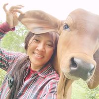เสียงต้นฉบับ - ลลินดาฟาร์ม