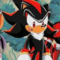 shadow_forcer0