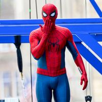 thomasspidermann