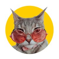 mayiti.kitty