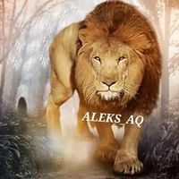 aleks_aq110