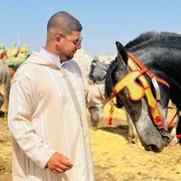 lmzabi_amine
