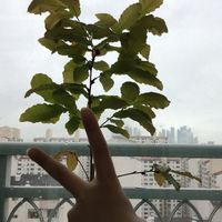 오사 금지