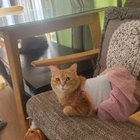 오리지널 사운드 - 민경tv