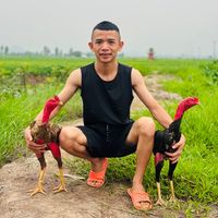 nhạc nền - Khánh Còi Đời Thường