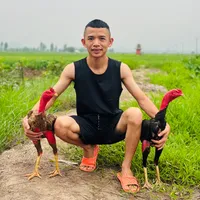 original sound - khanhgachoinb