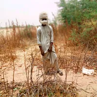 original sound - 50.r.s.f