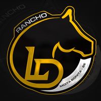 leandrovendadecavalos
