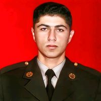 sehidilyasovferid