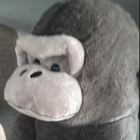 3fgmm0
