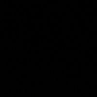 batool_.62