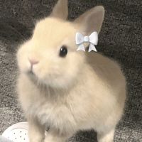 miiny.00