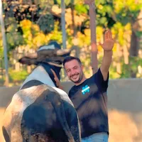 original sound - mahmoudh.khalil