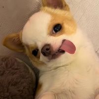 原聲 - h.m✨☄️