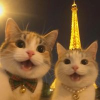 original sound - 💛iBEAN💛