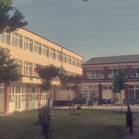 textorojo______________