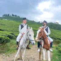 original sound - gurunggang25