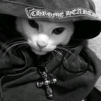 cortes_do_guxta