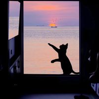 nhạc nền - Nào có ck đổi tên :))))