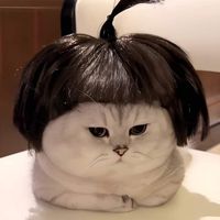cher153