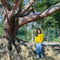wang.xioa.htet