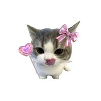 luv2timmochi