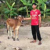 supanatt
