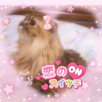 オリジナル楽曲 - 🌺KUMi🌺