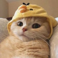 오리지널 사운드 - ISFP✨