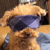 オリジナル楽曲 - 五条みくお