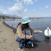 ann_ca_