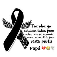 elyfloress34