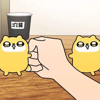 fukudrpp