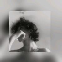 _bear.lk_