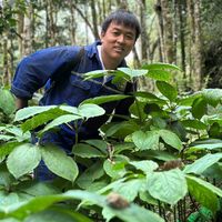 âm thanh gốc - ntsoogloojceebkue