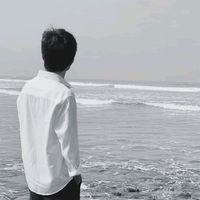 nabeelahmed390v