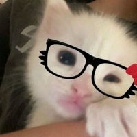nfx_yu