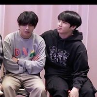 vigu_taekook.fan