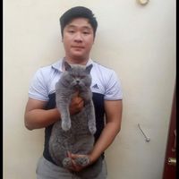 doanhmeobeo