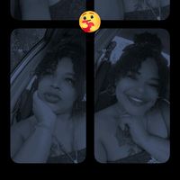 yelsi.comtaylor