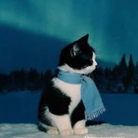 оригинальный звук