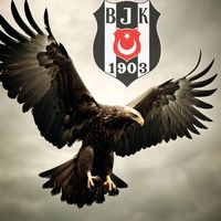 mustanoglu33